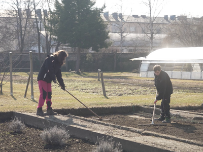 Zwei Assistenznehmer*innen rechen im Stadtgarten ein Beet